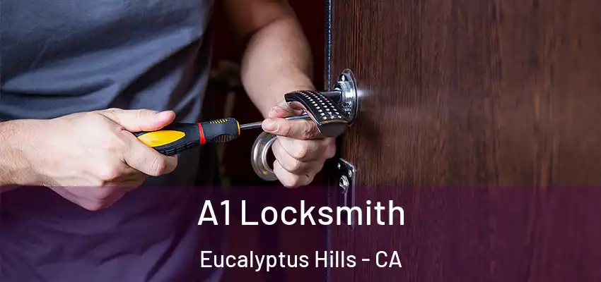  A1 Locksmith Eucalyptus Hills - CA