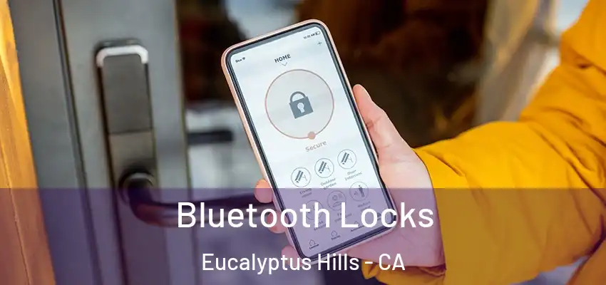  Bluetooth Locks Eucalyptus Hills - CA