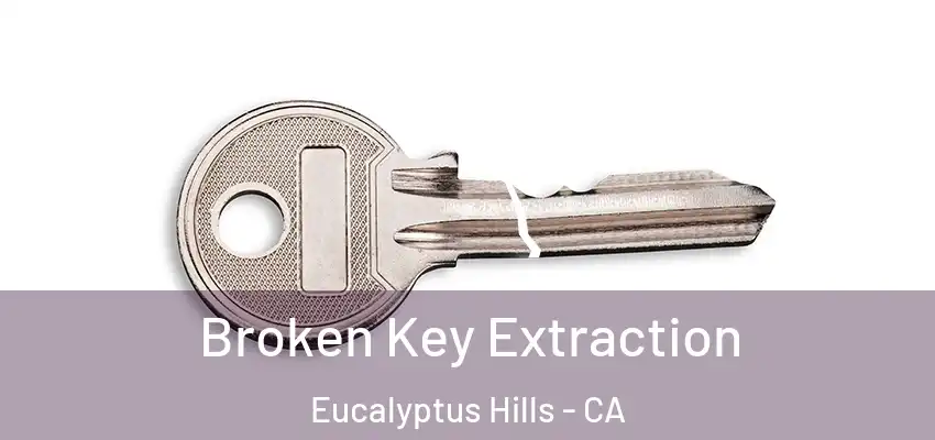  Broken Key Extraction Eucalyptus Hills - CA