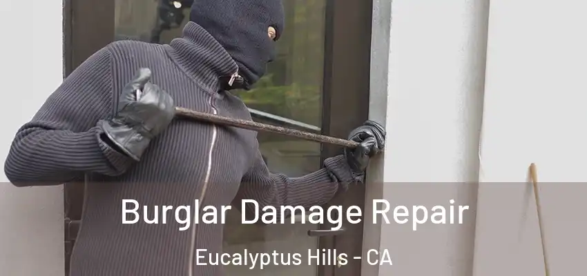 Burglar Damage Repair Eucalyptus Hills - CA
