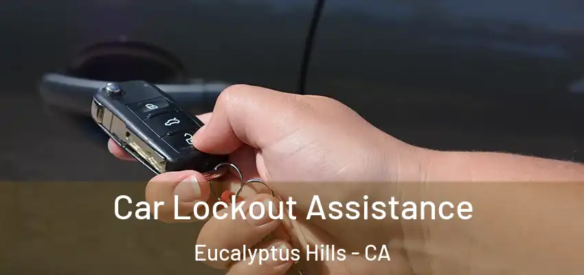 Car Lockout Assistance Eucalyptus Hills - CA