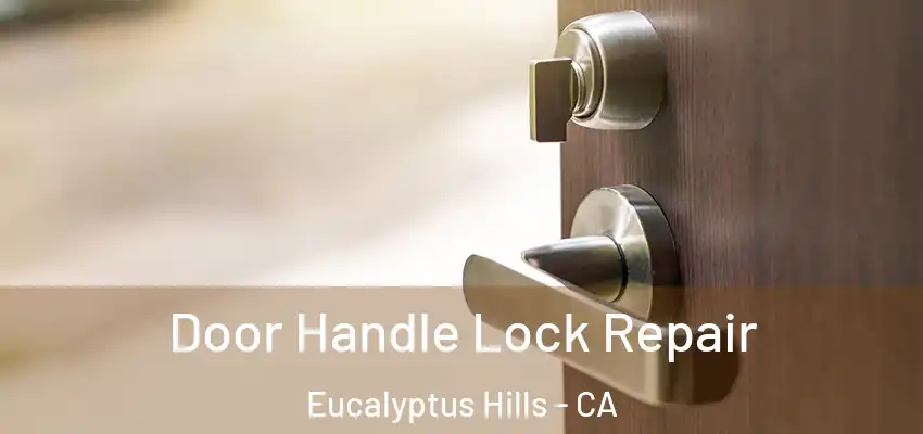  Door Handle Lock Repair Eucalyptus Hills - CA