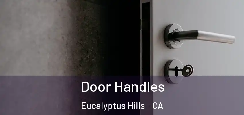 Door Handles Eucalyptus Hills - CA