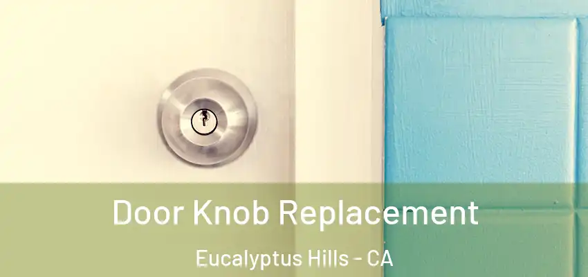 Door Knob Replacement Eucalyptus Hills - CA