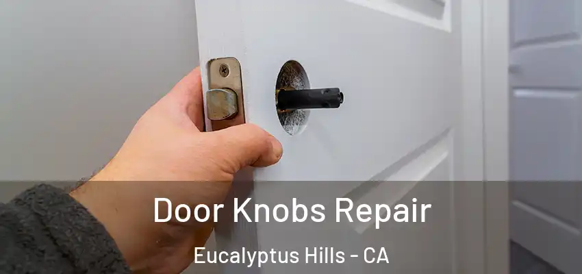  Door Knobs Repair Eucalyptus Hills - CA