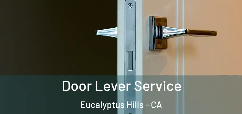 Door Lever Service Eucalyptus Hills - CA