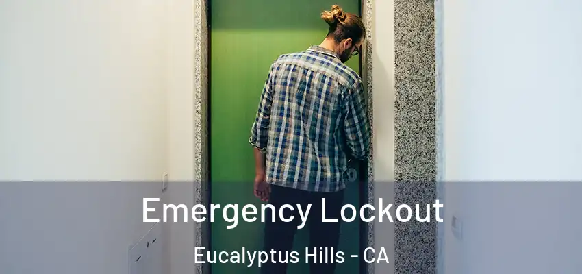 Emergency Lockout Eucalyptus Hills - CA