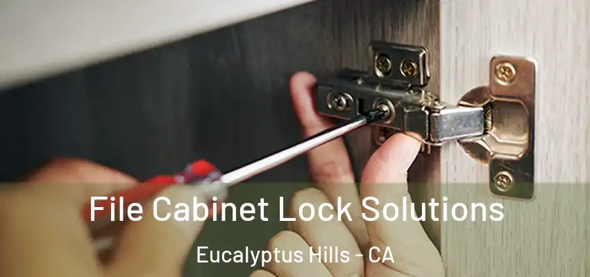  File Cabinet Lock Solutions Eucalyptus Hills - CA
