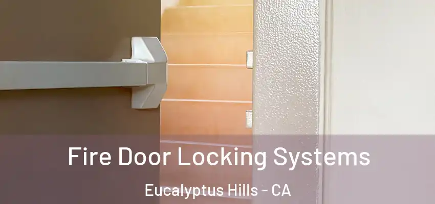 Fire Door Locking Systems Eucalyptus Hills - CA