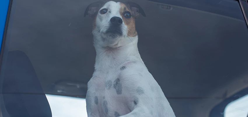 Car Lockout Solutions in Eucalyptus Hills, California