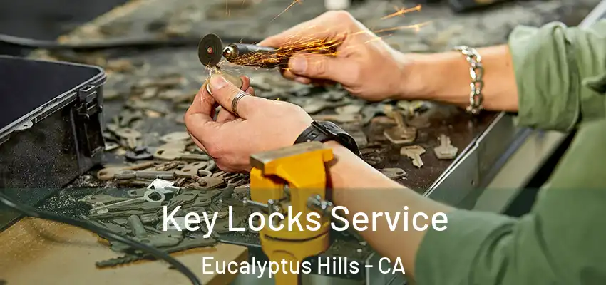 Key Locks Service Eucalyptus Hills - CA
