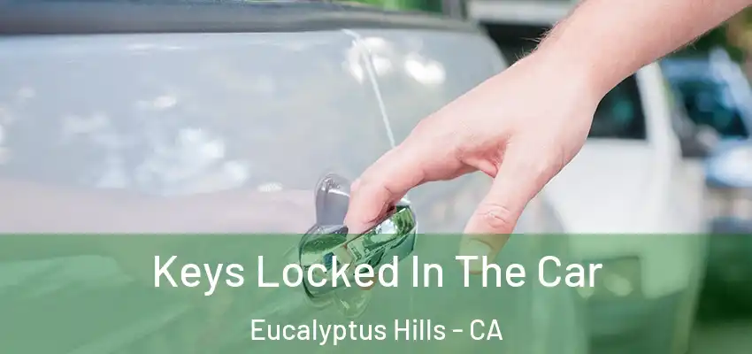  Keys Locked In The Car Eucalyptus Hills - CA