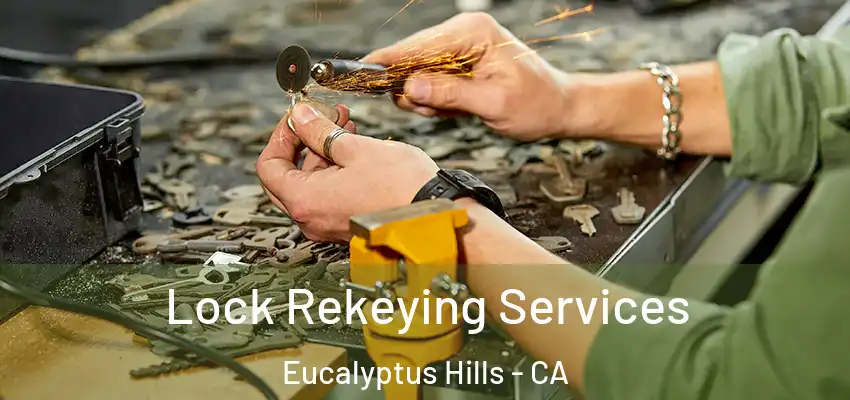  Lock Rekeying Services Eucalyptus Hills - CA