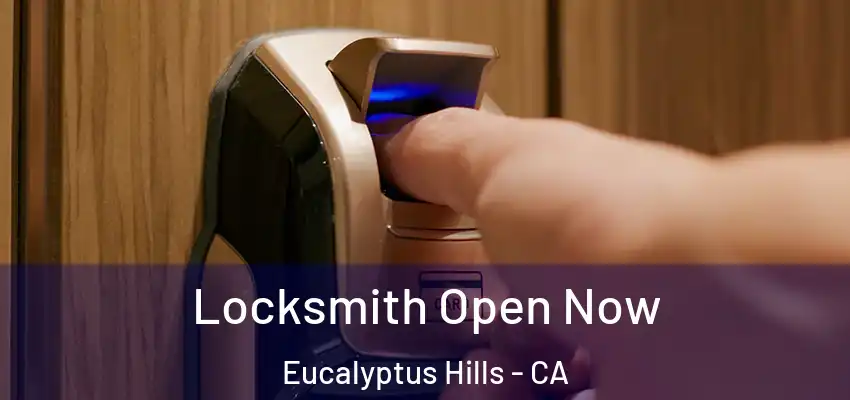 Locksmith Open Now Eucalyptus Hills - CA
