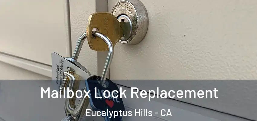  Mailbox Lock Replacement Eucalyptus Hills - CA