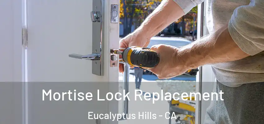  Mortise Lock Replacement Eucalyptus Hills - CA