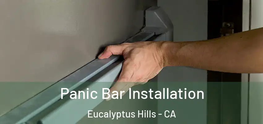 Panic Bar Installation Eucalyptus Hills - CA