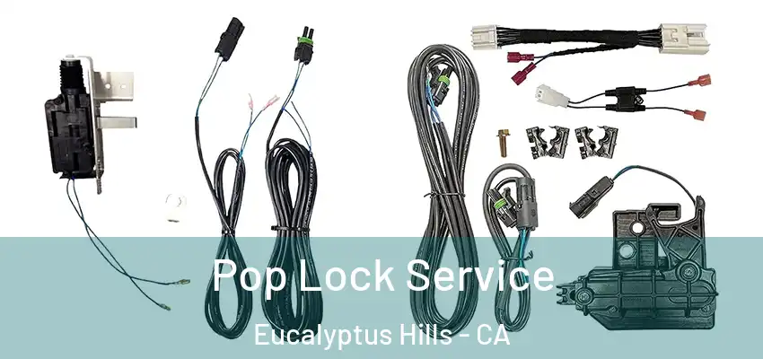 Pop Lock Service Eucalyptus Hills - CA