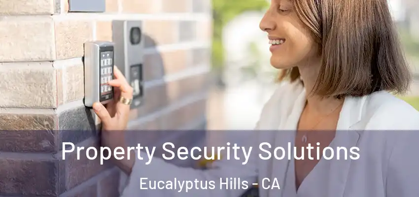  Property Security Solutions Eucalyptus Hills - CA