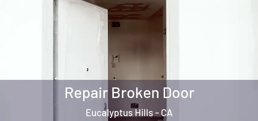 Repair Broken Door Eucalyptus Hills - CA