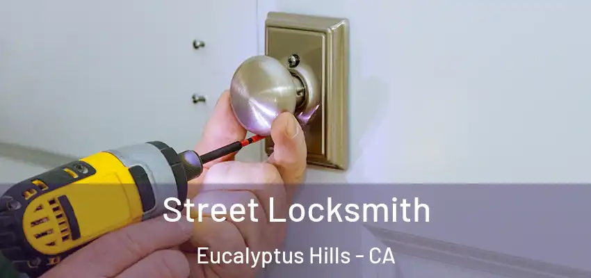  Street Locksmith Eucalyptus Hills - CA