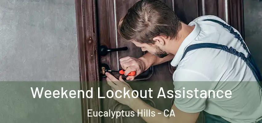 Weekend Lockout Assistance Eucalyptus Hills - CA